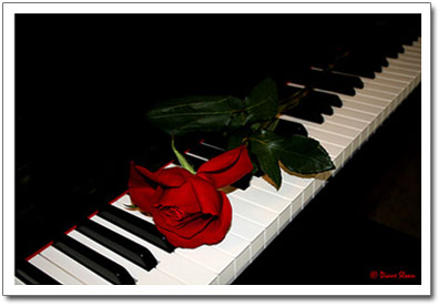 rosepiano